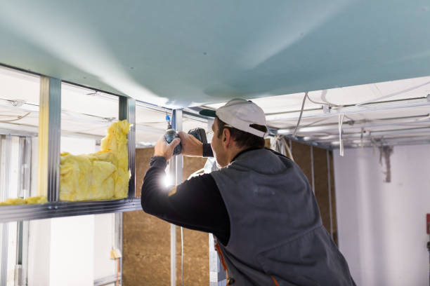 Best Specialty Insulation in Grandview, IL
